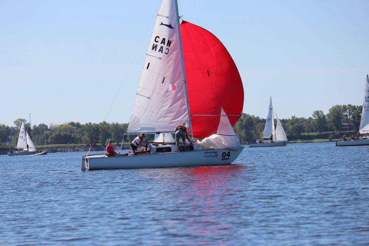 Doris Shark 13